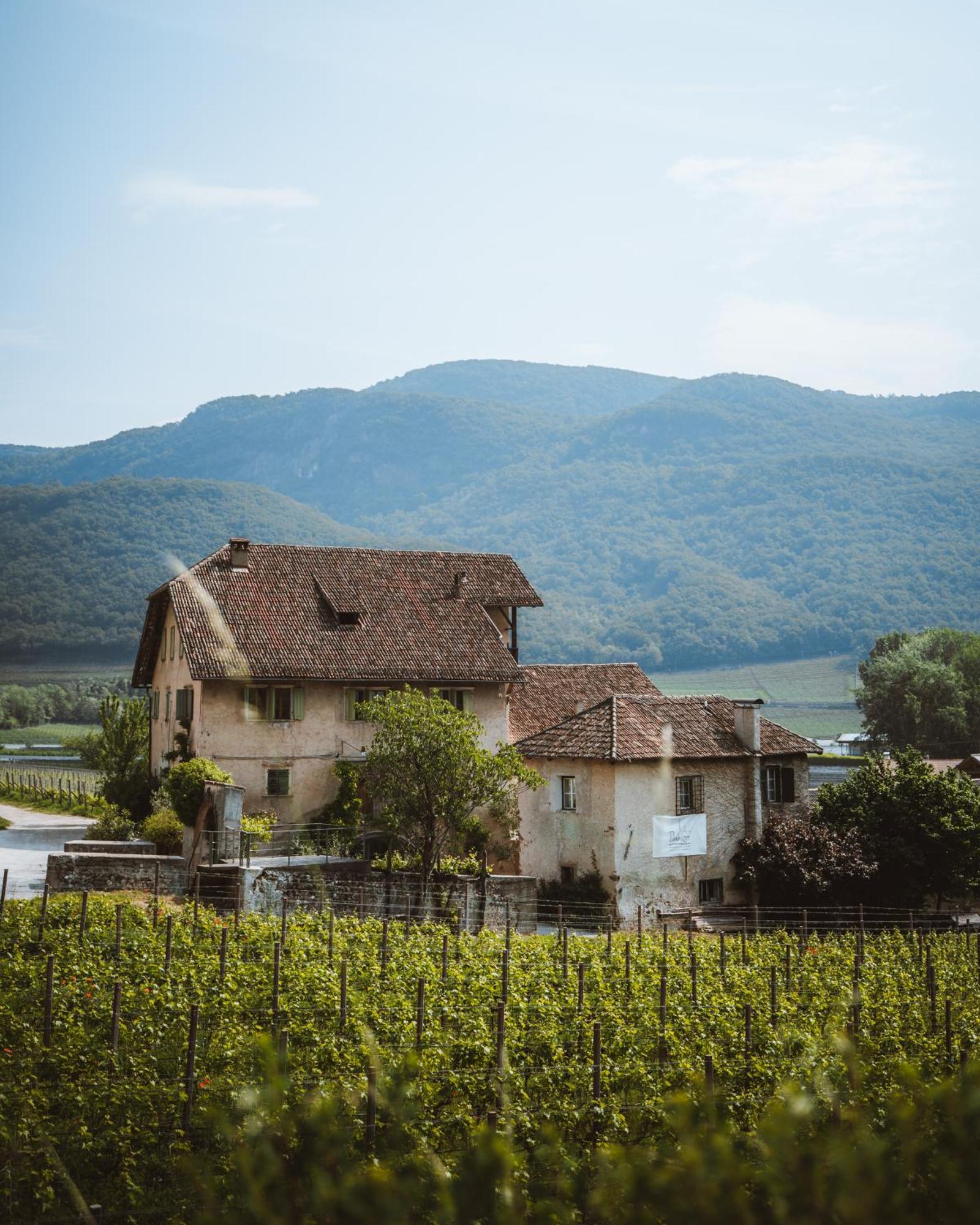 Weinbergsuite Panholzer Caldaro sulla Strada del Vino Exterior foto